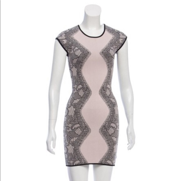 Parker Dresses & Skirts - PARKER BODYCON BLUSH LACE DRESS Parker Dresses & Skirts - PARKER BODYCON BLUSH LACE DRESS